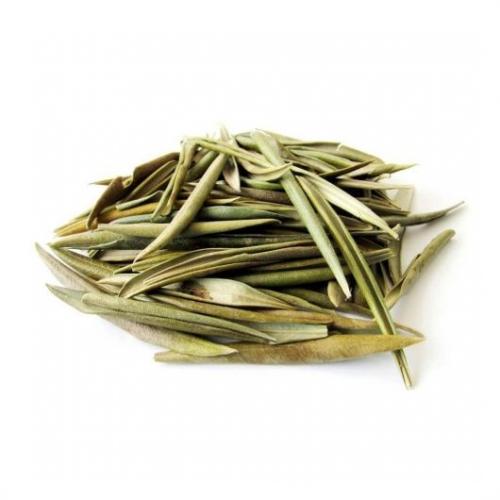 Oliveira